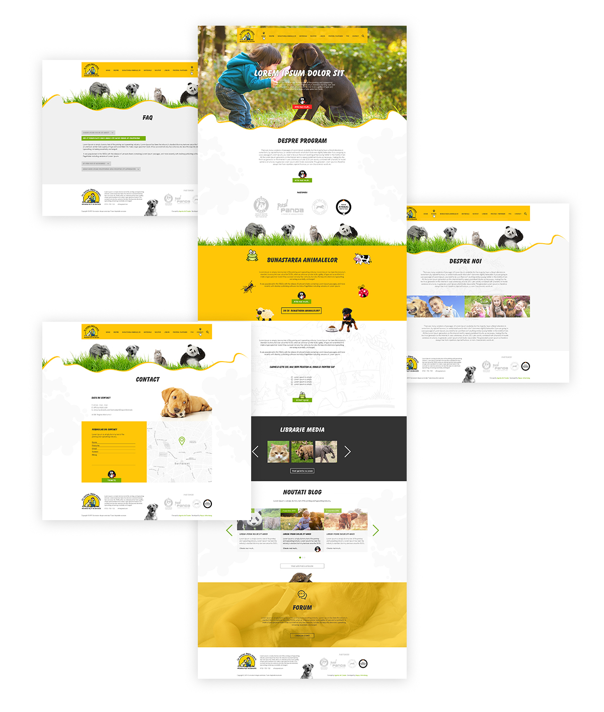 Sa invatam despre animale sida web2 - Sa invatam despre animale